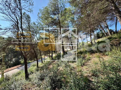 Local en Rellinars Barcelona Local en Rellinars Barcelona