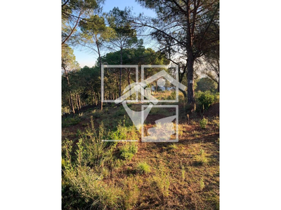 Local en Calle Tarragona    , Fogars de la Selva Barcelona